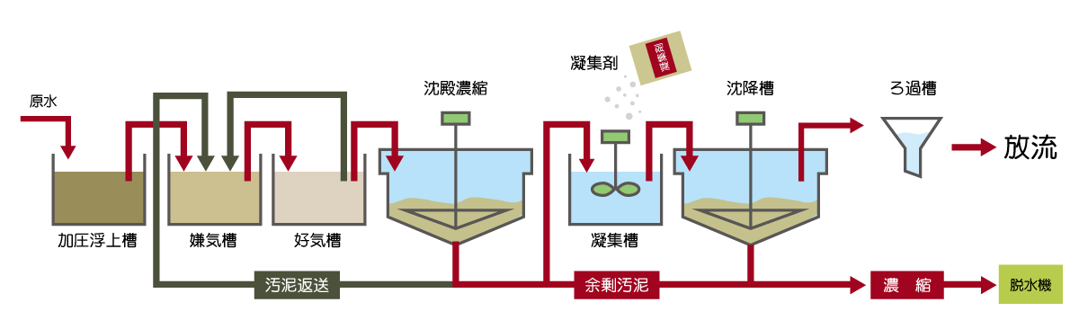 sample04img04 | toagoseivn